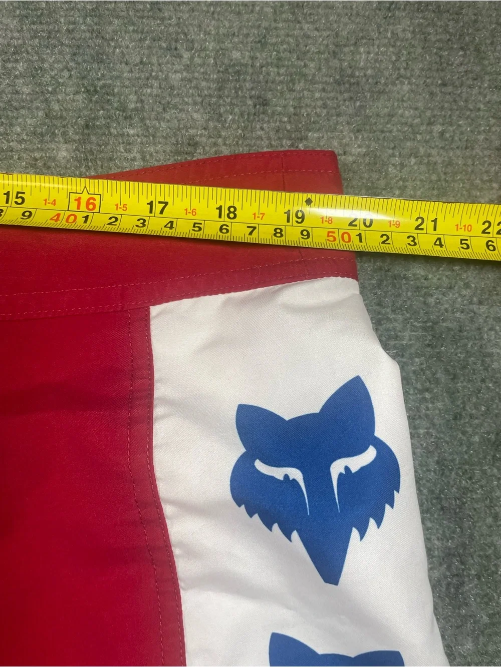 Fox men swim